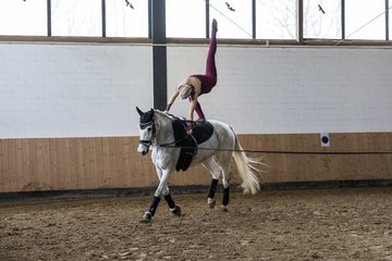 Bild 714 - Voltigierturnier